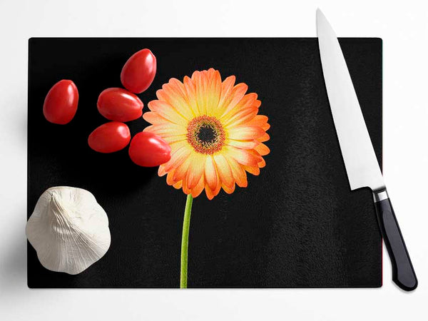 Orange Gerbera On Black Glass Chopping Board