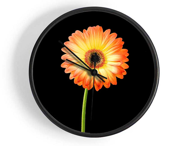 Orange Gerbera On Black Clock - Wallart-Direct UK