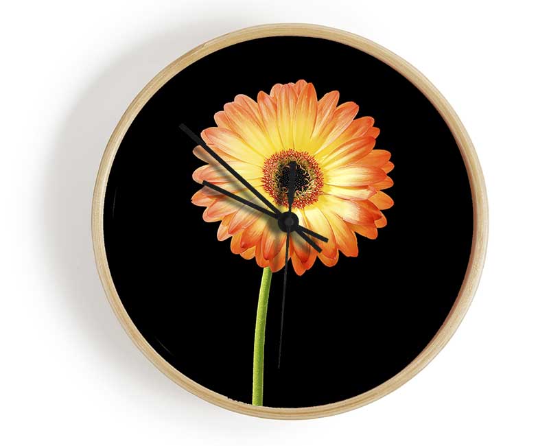 Orange Gerbera On Black Clock - Wallart-Direct UK