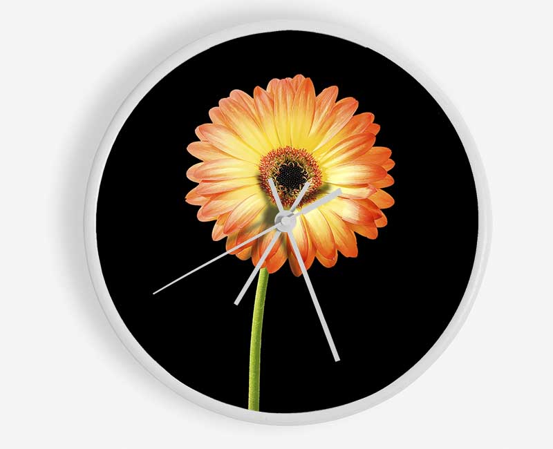 Orange Gerbera On Black Clock - Wallart-Direct UK