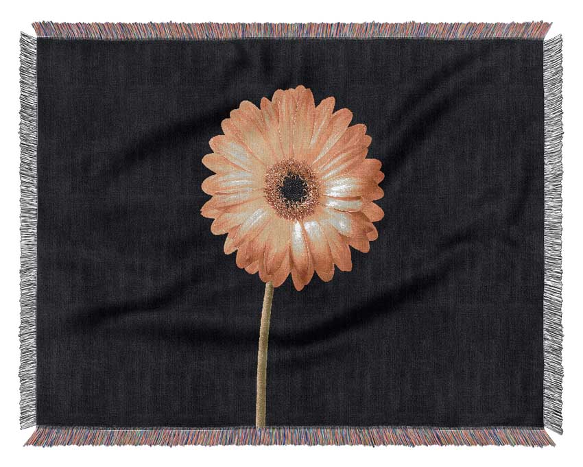 Orange Gerbera On Black Woven Blanket