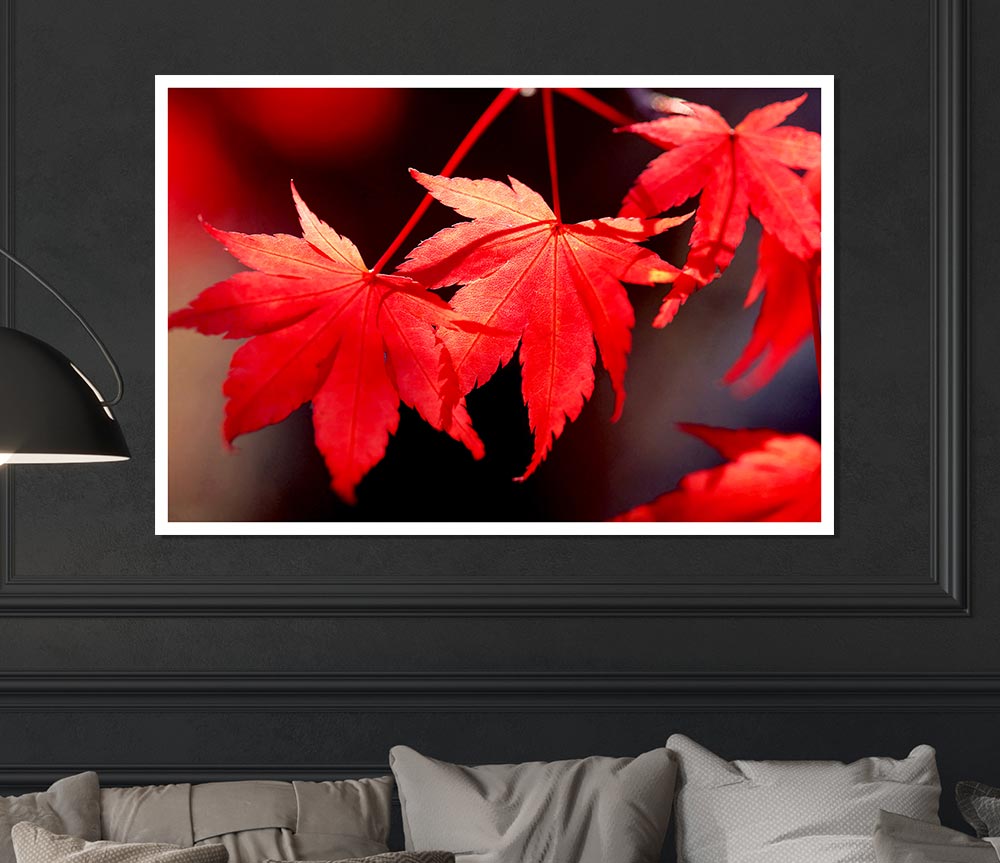 Winter Red Leaves Print Poster Wall Art