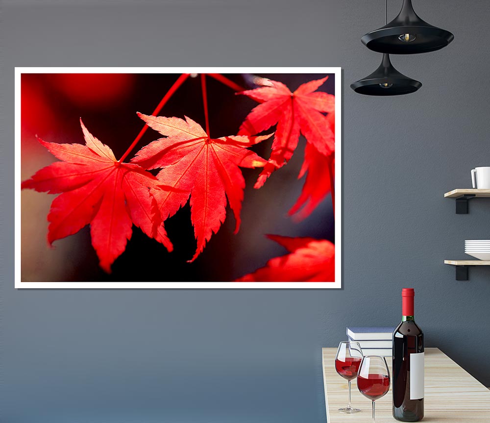 Winter Red Leaves Print Poster Wall Art