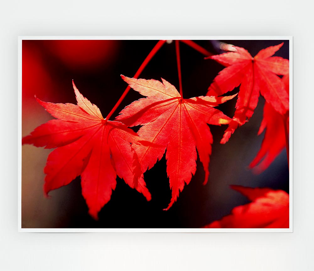 Winter Red Leaves Print Poster Wall Art