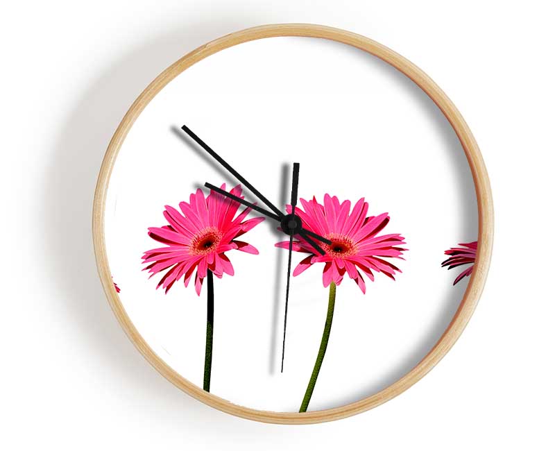 Pink Gerbera Quads Clock - Wallart-Direct UK