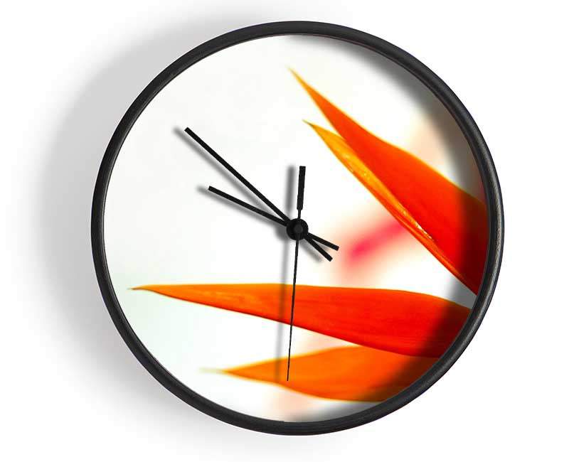 Orange Bird Of Paradise Clock - Wallart-Direct UK