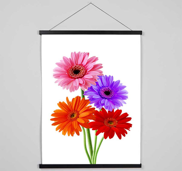 Gerbera Colours Hanging Poster - Wallart-Direct UK