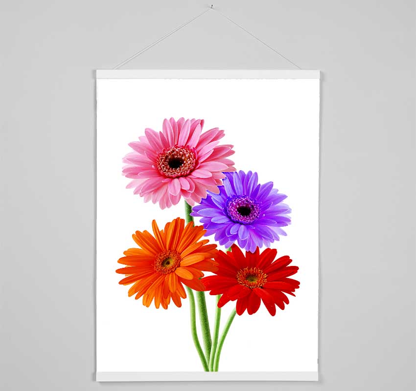 Gerbera Colours Hanging Poster - Wallart-Direct UK