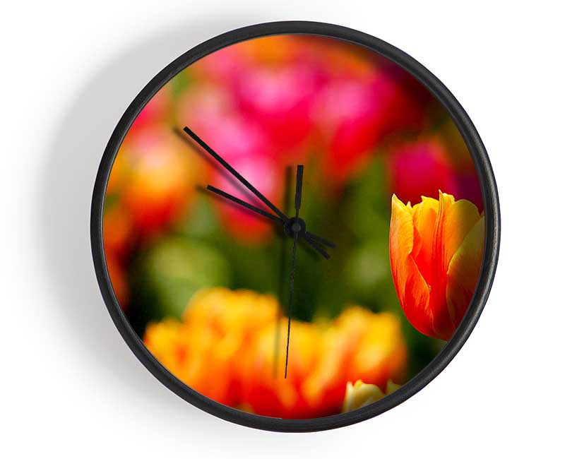 Orange Tulips In Bloom Clock - Wallart-Direct UK