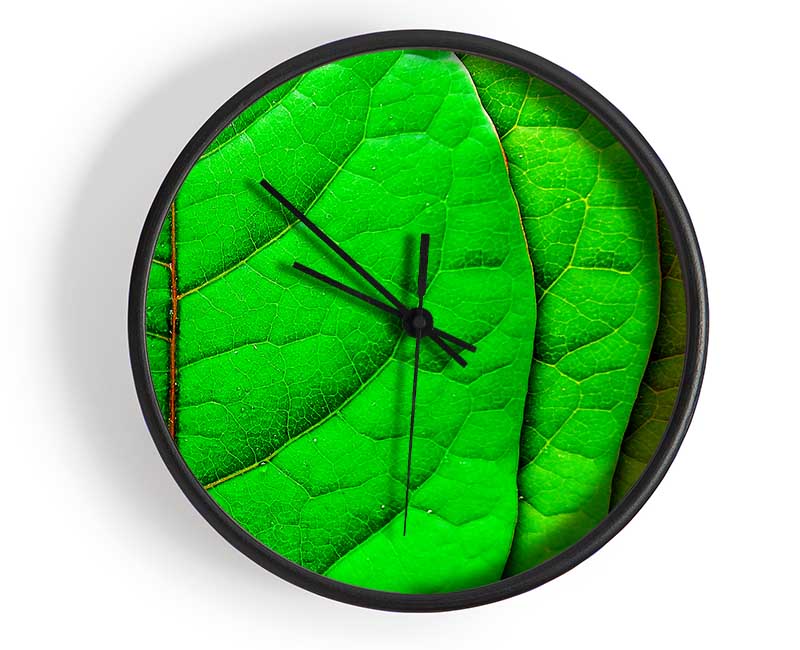 Colour Of Leaves Clock - Wallart-Direct UK