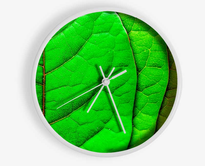 Colour Of Leaves Clock - Wallart-Direct UK