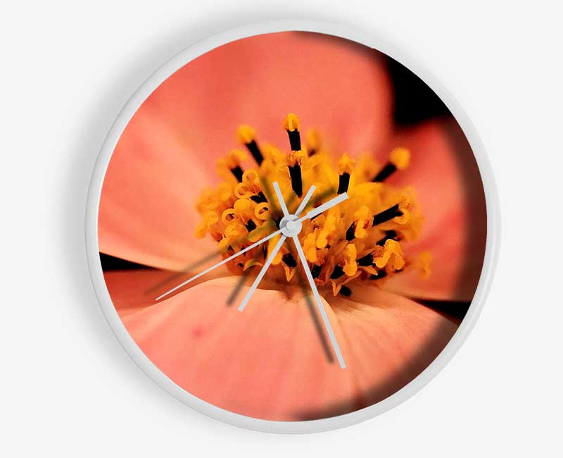 Orange Petal Beauty Clock - Wallart-Direct UK