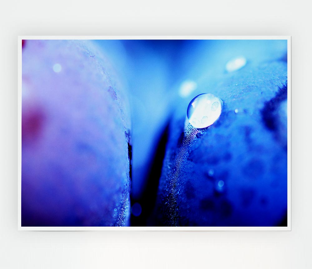 Blue Petal Water Droplet Print Poster Wall Art