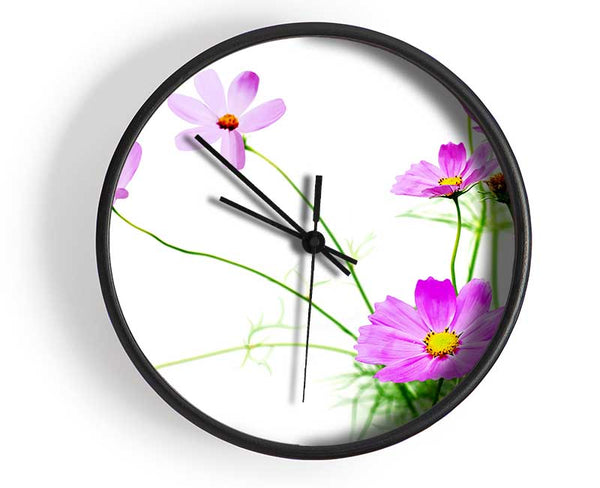 Pink Daisy Bloom Clock - Wallart-Direct UK