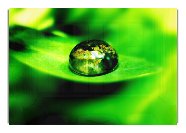 Green Leave Water Droplet