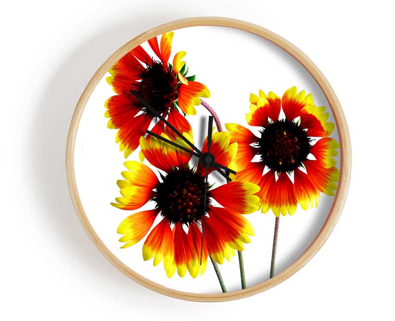 Sun Flower Trio Clock - Wallart-Direct UK