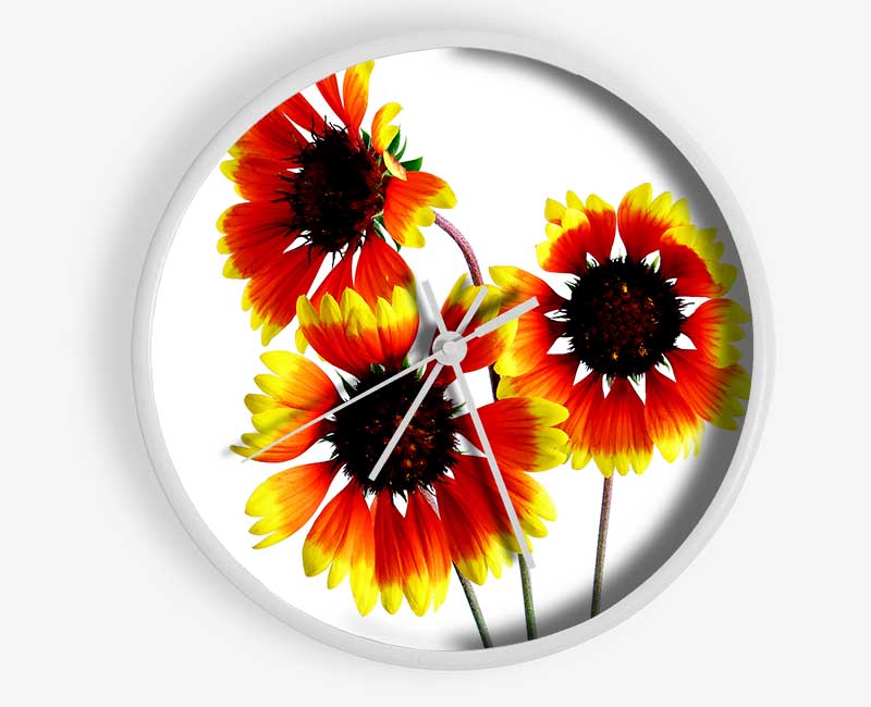 Sun Flower Trio Clock - Wallart-Direct UK