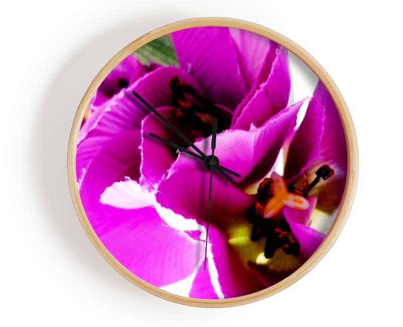 Pink Petal Galore Clock - Wallart-Direct UK