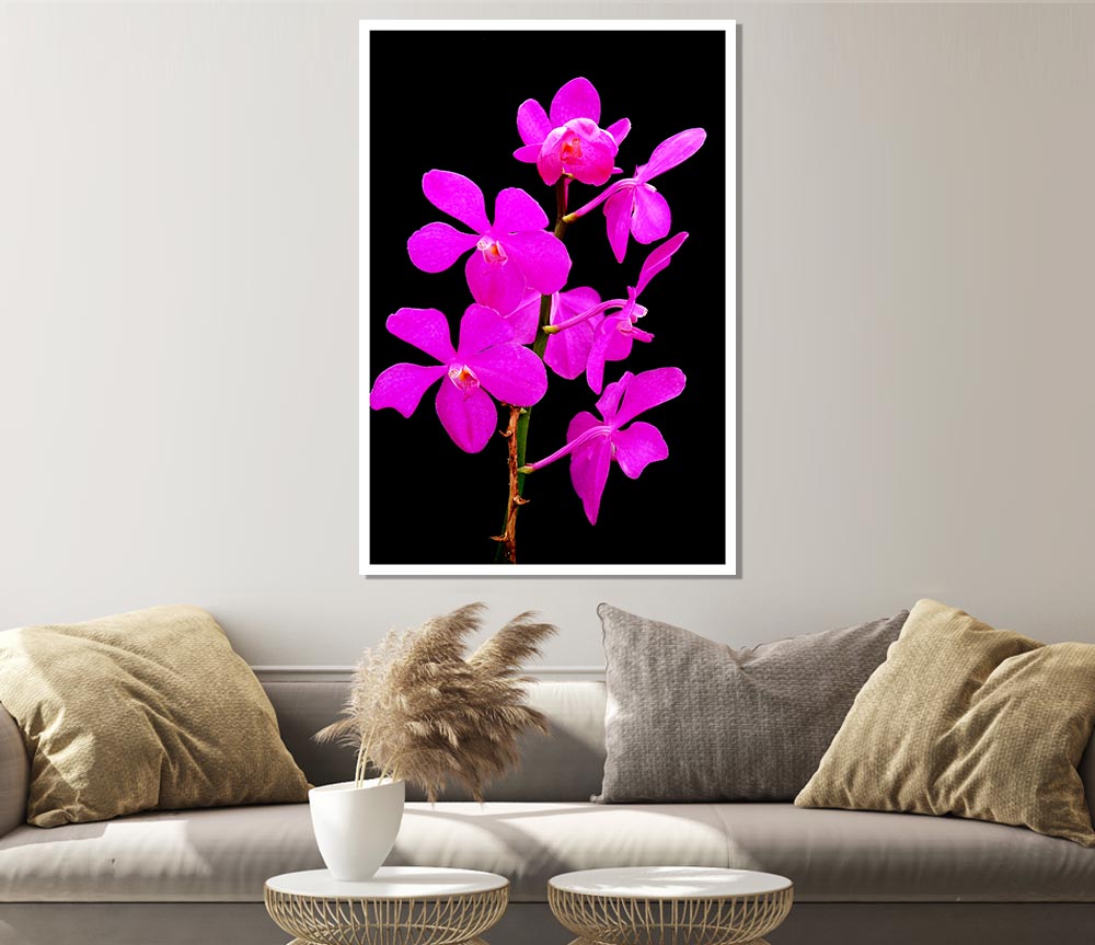 Vibrant Pinks Print Poster Wall Art