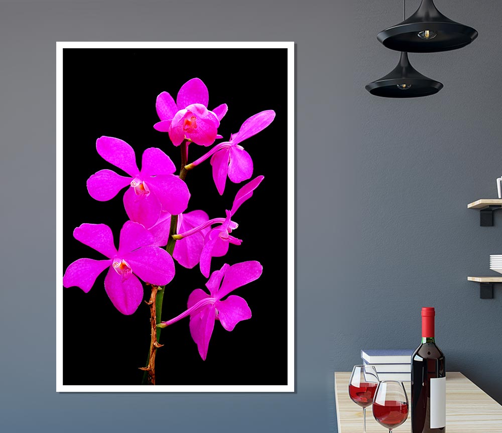 Vibrant Pinks Print Poster Wall Art