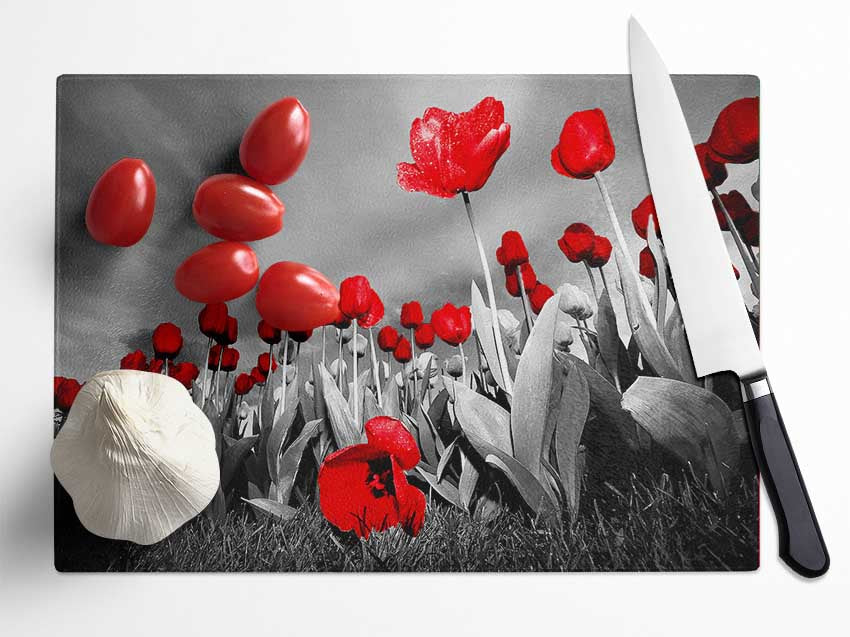 Red Tulip Skies B n W Glass Chopping Board