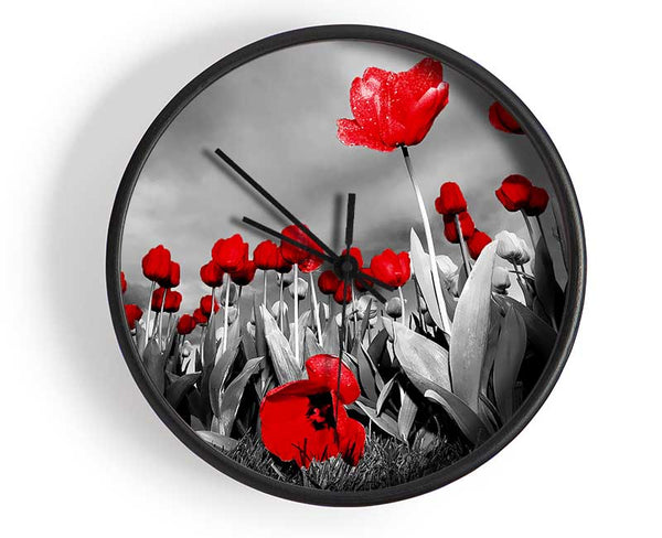 Red Tulip Skies B n W Clock - Wallart-Direct UK