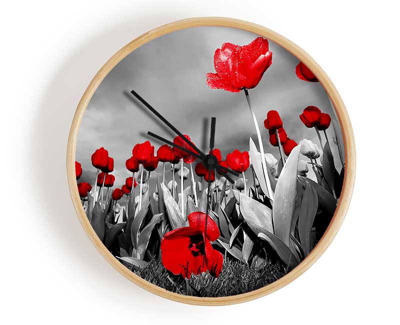 Red Tulip Skies B n W Clock - Wallart-Direct UK