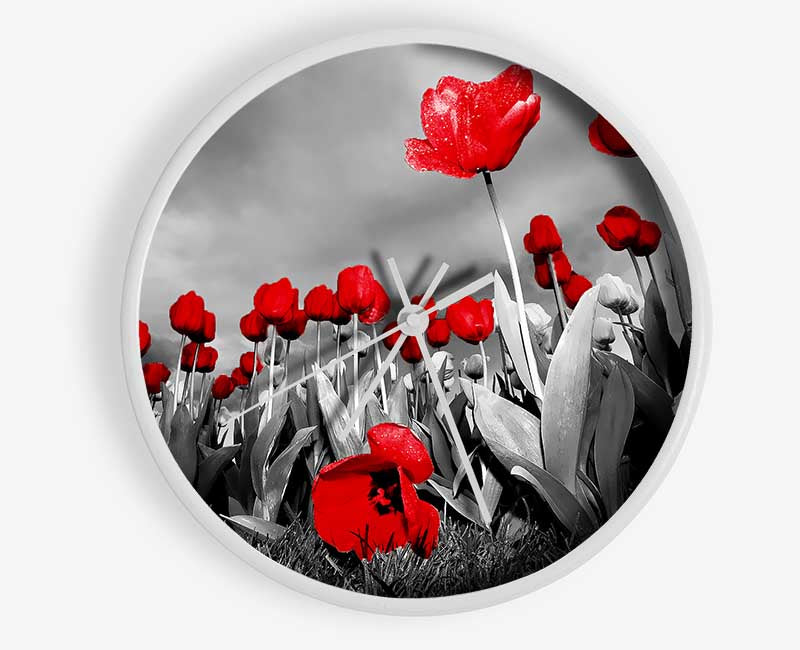 Red Tulip Skies B n W Clock - Wallart-Direct UK