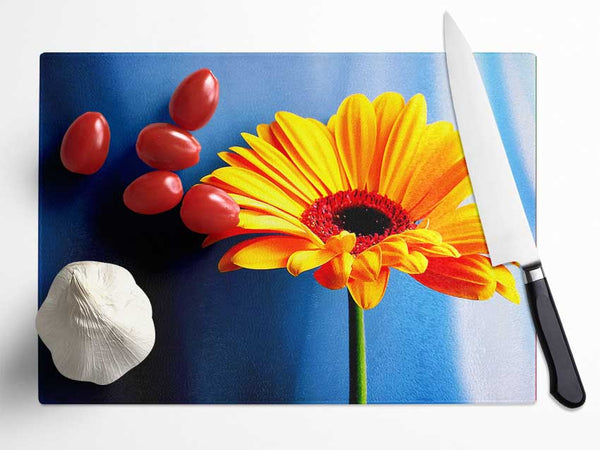 Single Orange Gerbera Glass Chopping Board