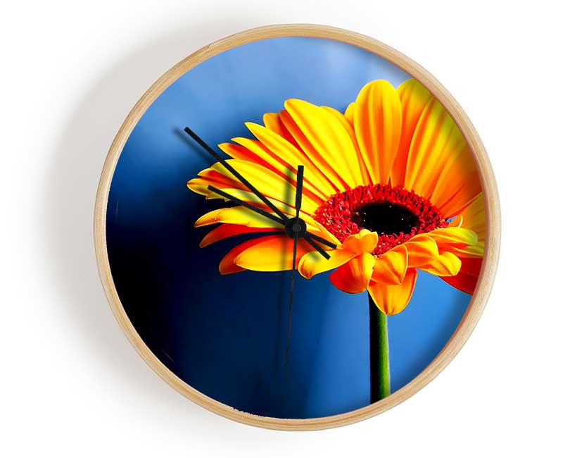 Single Orange Gerbera Clock - Wallart-Direct UK