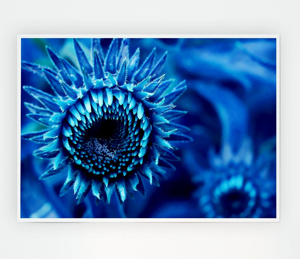 Blue Sunflower Print Poster Wall Art