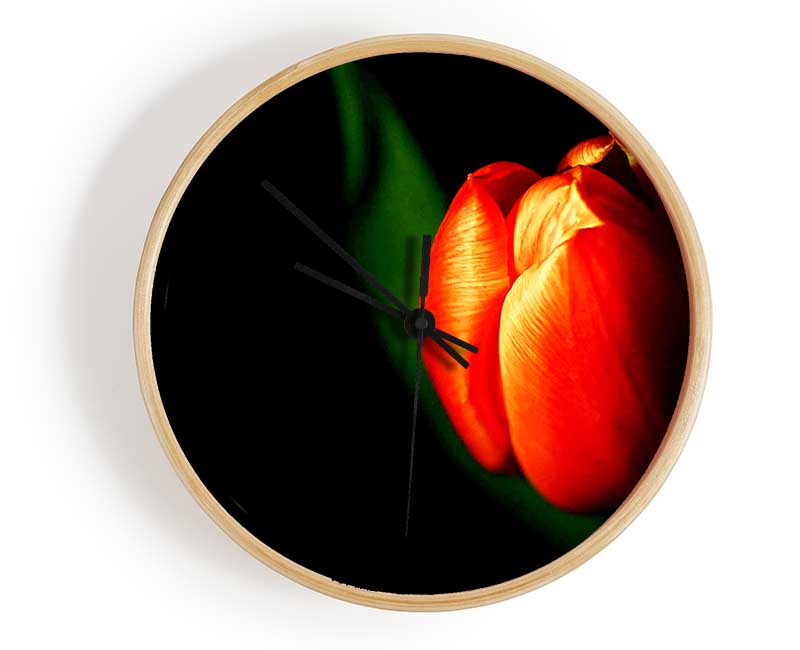 Tulip In Blazing Sun Clock - Wallart-Direct UK