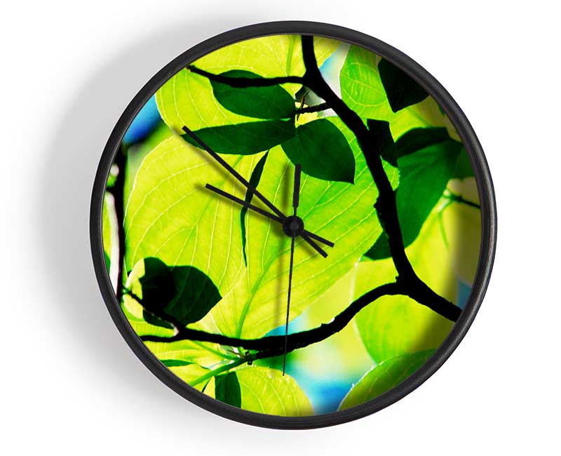 Green Leaves In Sunlight Clock - Wallart-Direct UK