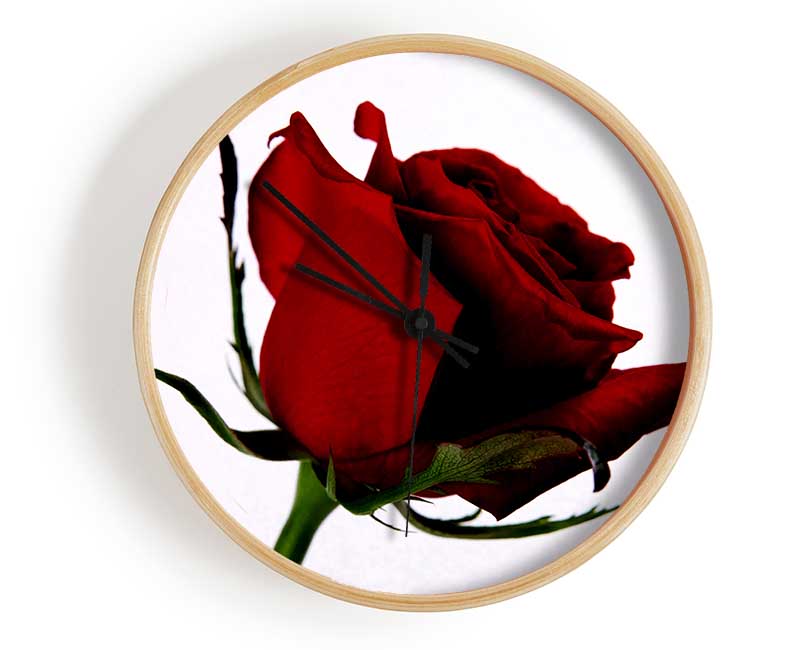 Single Red Rose Clock - Wallart-Direct UK