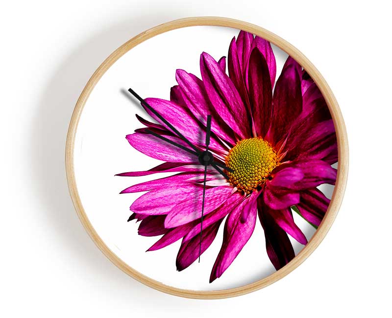 Single Cerise Daisy Clock - Wallart-Direct UK