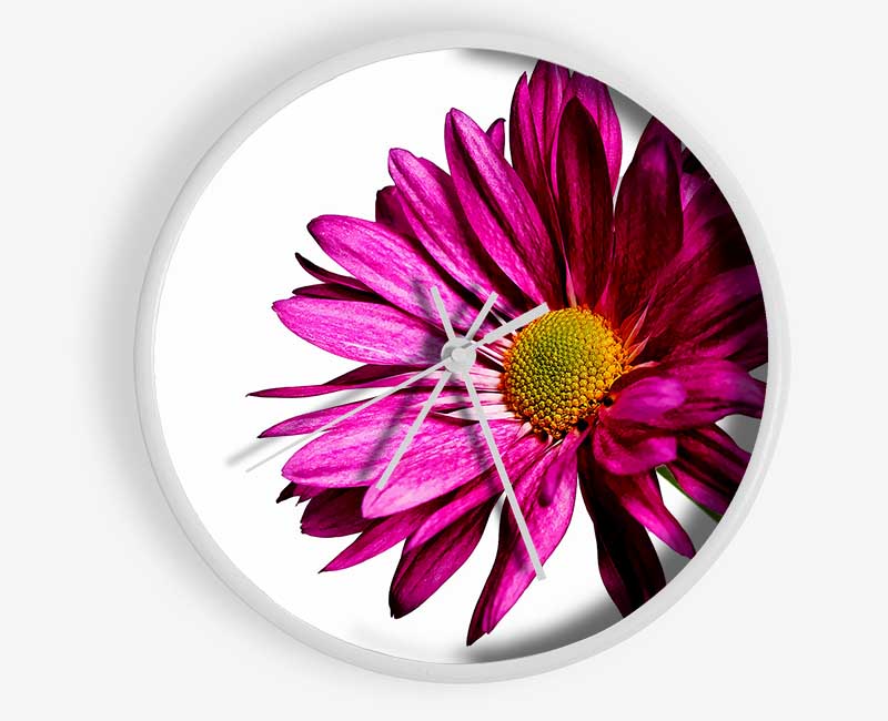 Single Cerise Daisy Clock - Wallart-Direct UK