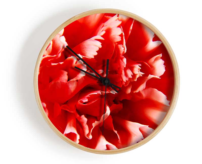 Vivid Pink Carnation Clock - Wallart-Direct UK