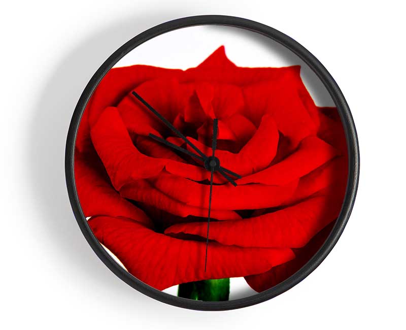 Red Rose In Bloom Clock - Wallart-Direct UK