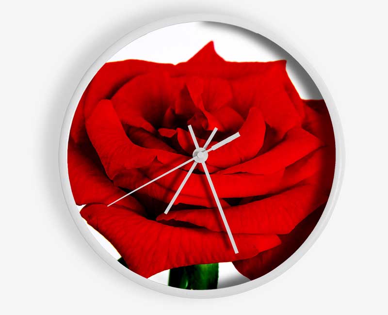 Red Rose In Bloom Clock - Wallart-Direct UK