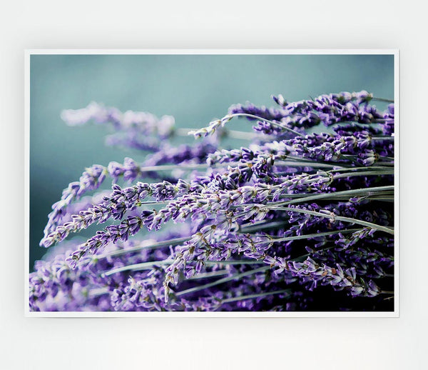 Heather Print Poster Wall Art