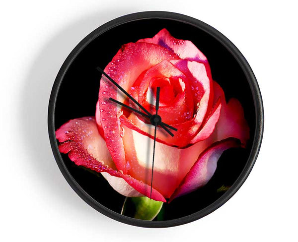 Pink Passion Rose Clock - Wallart-Direct UK