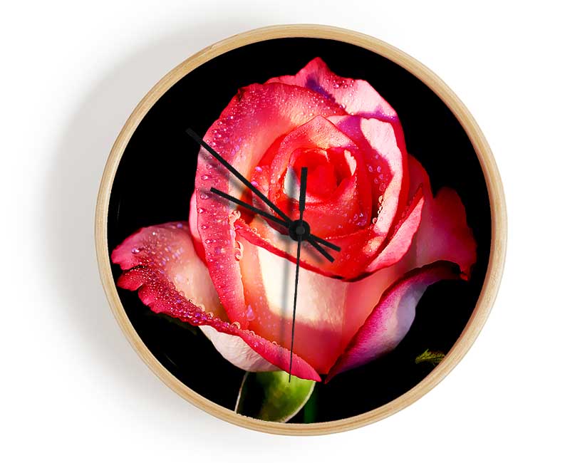 Pink Passion Rose Clock - Wallart-Direct UK