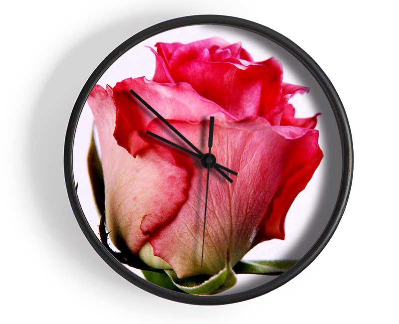 Single Pink Rose Clock - Wallart-Direct UK