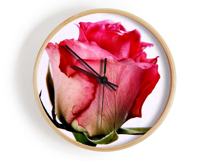 Single Pink Rose Clock - Wallart-Direct UK