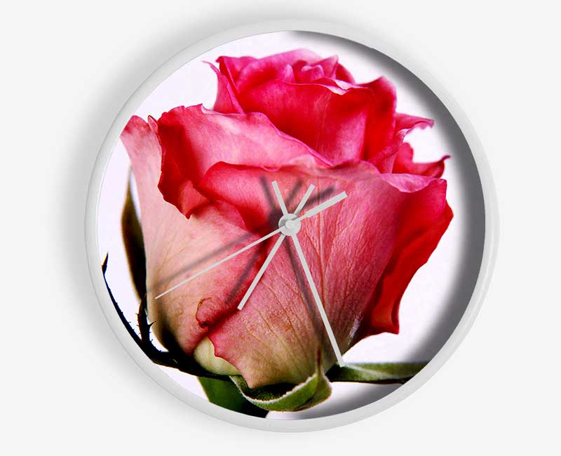 Single Pink Rose Clock - Wallart-Direct UK