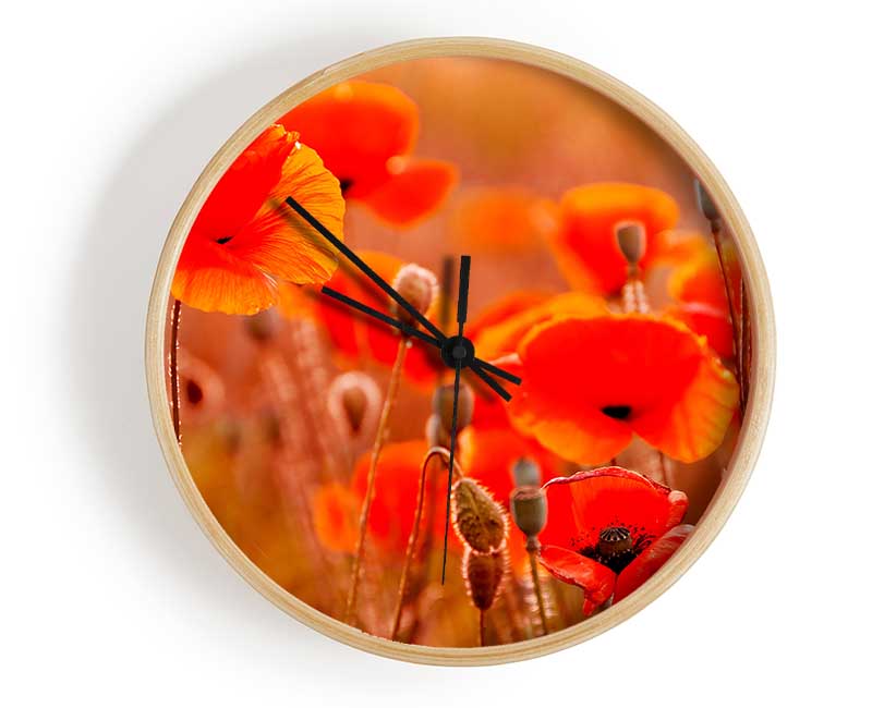 Orange Poppy Field Galour Clock - Wallart-Direct UK