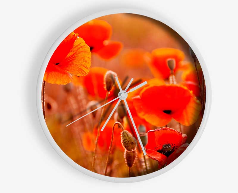 Orange Poppy Field Galour Clock - Wallart-Direct UK