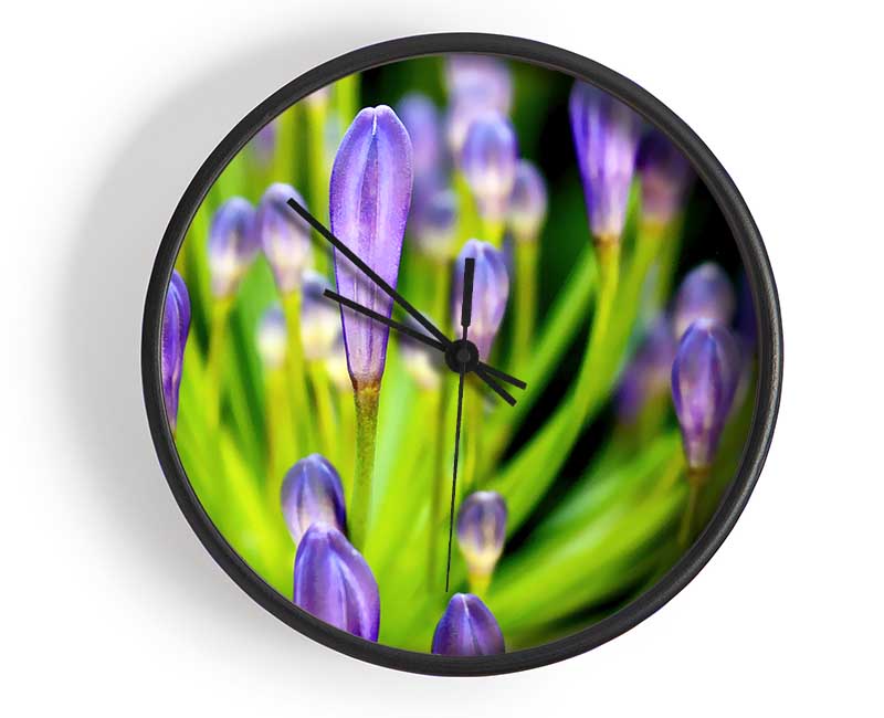 The Growth Of Purple Clock - Wallart-Direct UK