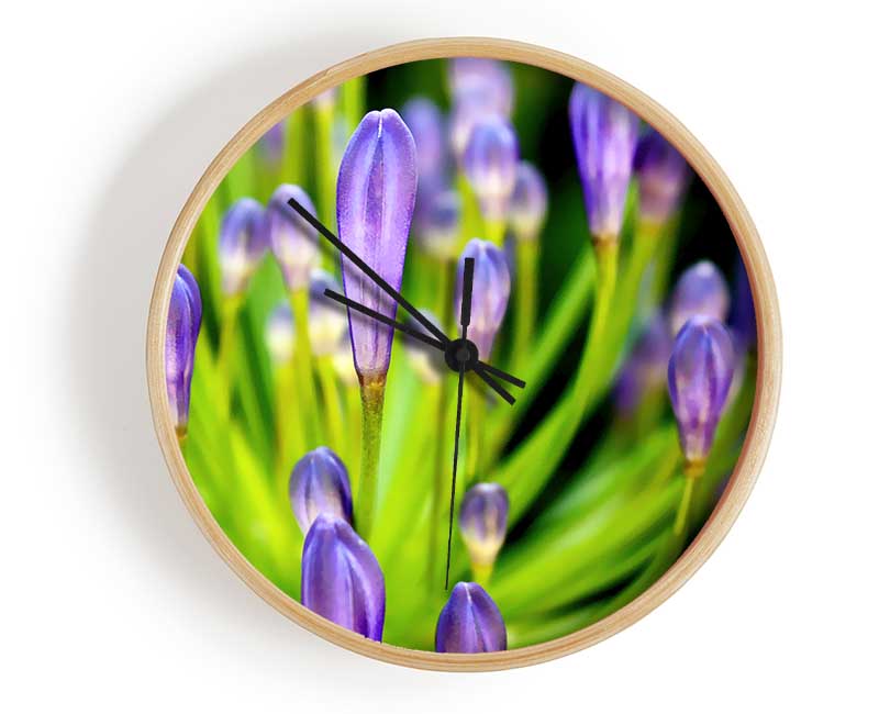 The Growth Of Purple Clock - Wallart-Direct UK