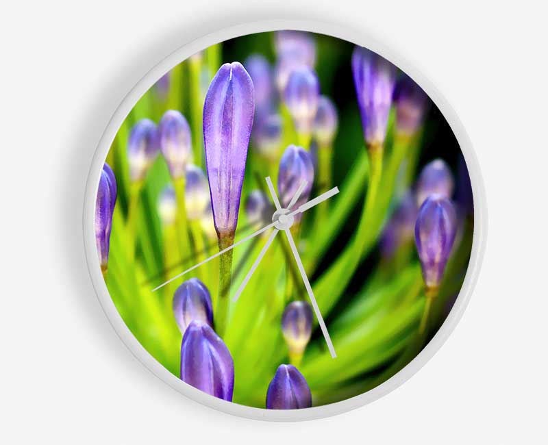 The Growth Of Purple Clock - Wallart-Direct UK